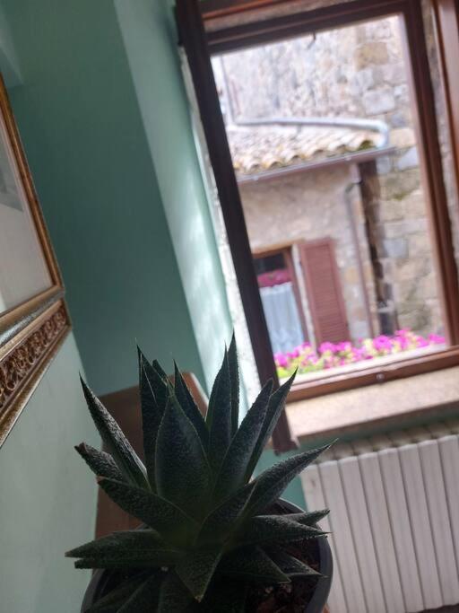 Casa Rosita Vista Lago ボルセーナ エクステリア 写真