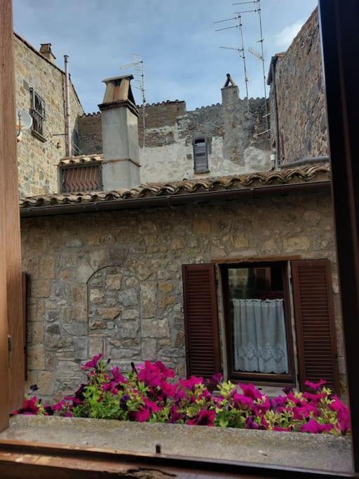 Casa Rosita Vista Lago ボルセーナ エクステリア 写真
